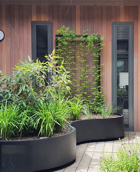 BotanicalTraditions_Landscape Design_Early Childhood